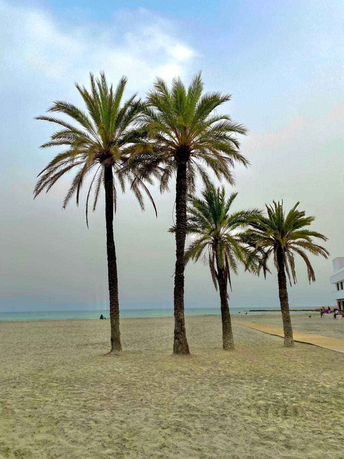 Corazon De Santa Pola Villa ภายนอก รูปภาพ